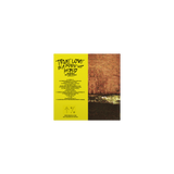 TRUE LOVE IN A MADE UP WORLD Deluxe Vinyl
