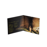 TRUE LOVE IN A MADE UP WORLD Deluxe Vinyl